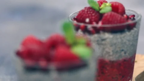 ChiaPudding1 Stock Footage 91592190