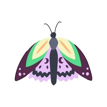 Chic boho moth cartoon vector illustration Illustrazione stock