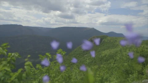 Chic-Choc Mountains Stock Footage 144839088