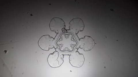 Chic hexagonal snowflake melts under the microscope Stock Footage 104490985