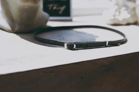 Chic leather belt with black leather and silver fittings Stock Photos