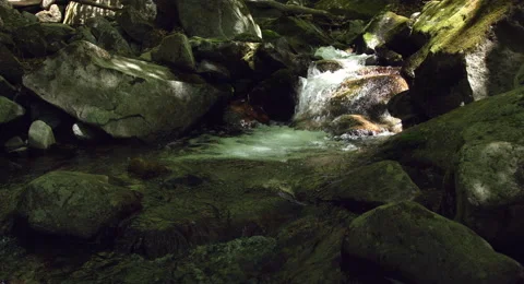 Chic stream, 4k color graded (4000x2160) Stock Footage 50127181