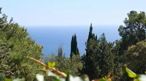 Chic view from the window of the green trees and blue sea on a sunny day Stock Photos