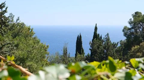 Chic view from the window of the green trees and blue sea on a sunny day Stock Photos