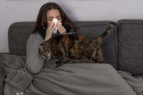 Chica joven enferma tumbada en el sofa con su gato Stock Photos