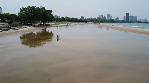 Chicago beach flyover Vídeos de archivo 109583143