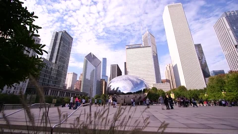 CHICAGO BEAN Stock Footage 153477217