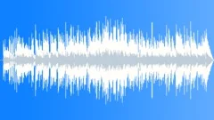 Chicago Blues Stock Music
