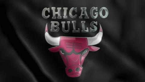 Chicago Bulls Stock Footage 133767864
