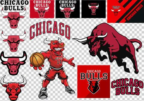 Chicago Bulls Stock Illustration