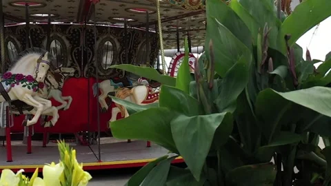 Chicago Carousel Scene Stock Footage 148434561