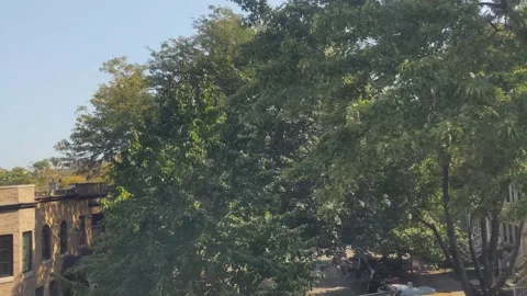 Chicago CTA Train 스톡 동영상 165427162