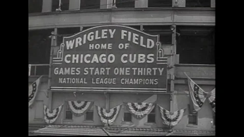 15 Chicago Cubs Flag Stock Video Footage - 4K and HD Video Clips