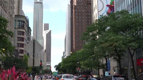 Chicago Downtown Traffic Stock Footage 252546702