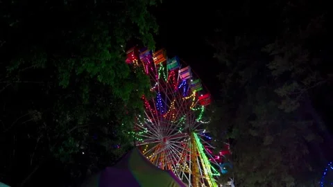 Chicago Ferris Wheel through trees at night Stock Footage 295457951