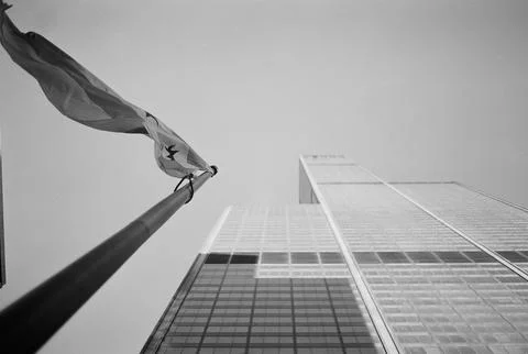 Chicago Flag in front of Willis Tower Stock Photos