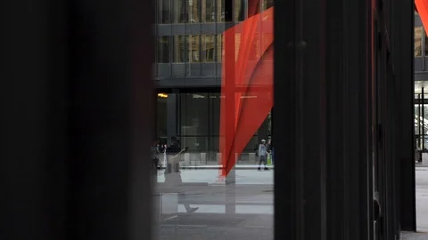 Chicago Flamingo Reflection Stock Footage 129521400