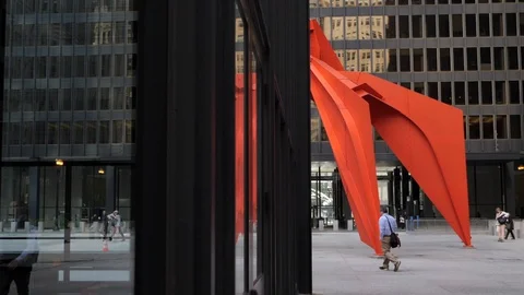 Chicago Flamingo Reflection Stock Footage 129521417