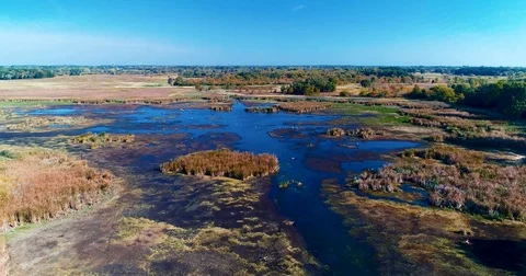 Chicago - Forest Preserve Stock Footage 82286699