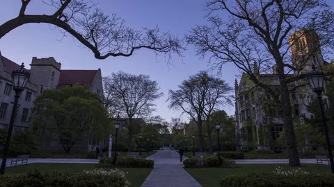 Chicago: Hyde Park, Campus with Trees and Sunset Stock Footage 75919373