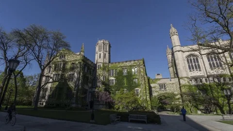 Chicago: Hyde Park, Campus Trees and Shadows at Sunset Stock Footage 75921396