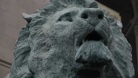 Chicago Library Lion Head  Camera Adjusts CU Stock Footage 89999190