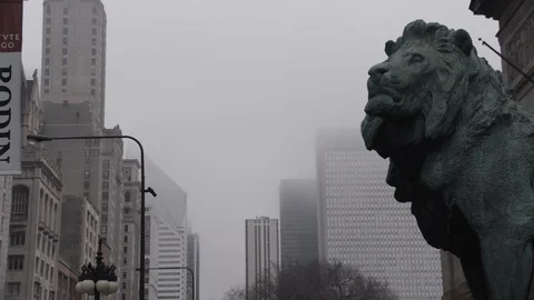 Chicago Library Lion Head Camera Finds Shot Stock Footage 89999995