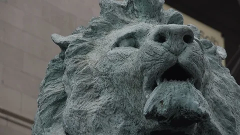 Chicago Library Lion Head Close Up Slight Tilt Down Stock Footage 89999574