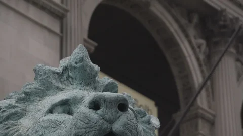 Chicago Library Lion Head Close Up Tilt down Stock Footage 89999797