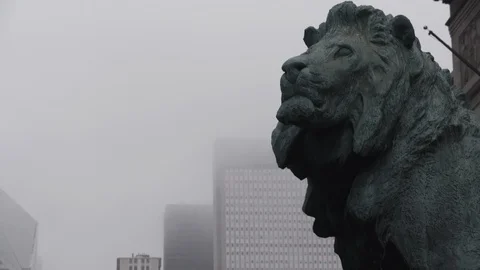 Chicago Library Lion Head  Close Up Side Angle Stock Footage 89999814