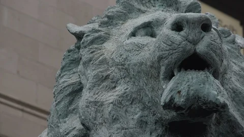 Chicago Library Lion Head  Static Stock Footage 89999013