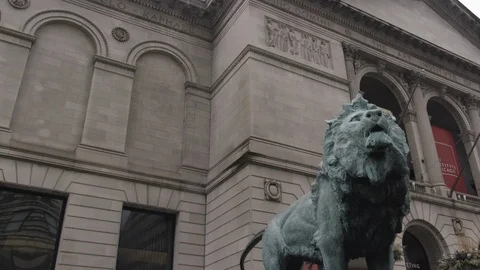 Chicago Library Lion Head  Static Wide Shot Stock Footage 90000117