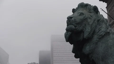 Chicago Library Lion Head  WS Camera Drifts Stock Footage 89999289
