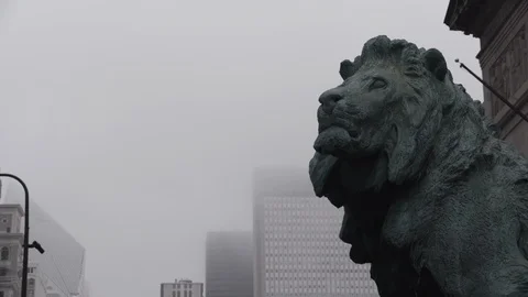 Chicago Library Lion Head  WS Camera Drifts Stock Footage 90000202