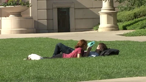 Chicago Millenium Park Couple 動画素材 8620831