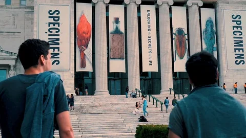 Chicago museum Stock Footage 95554910