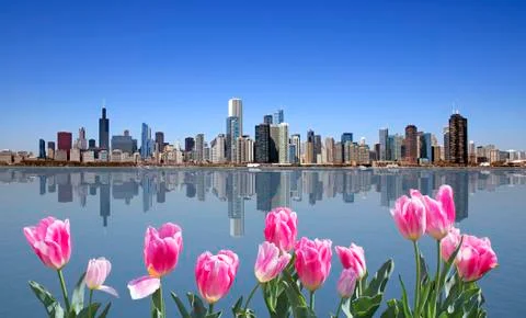 Chicago Stock Photos