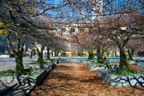 Chicago Stock Photos