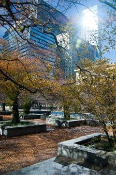 Chicago Stock Photos