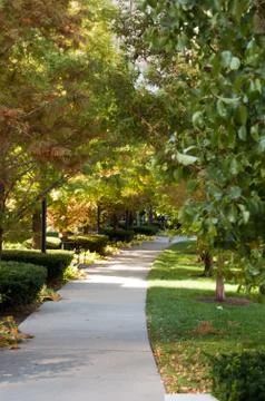 Chicago Stock Photos