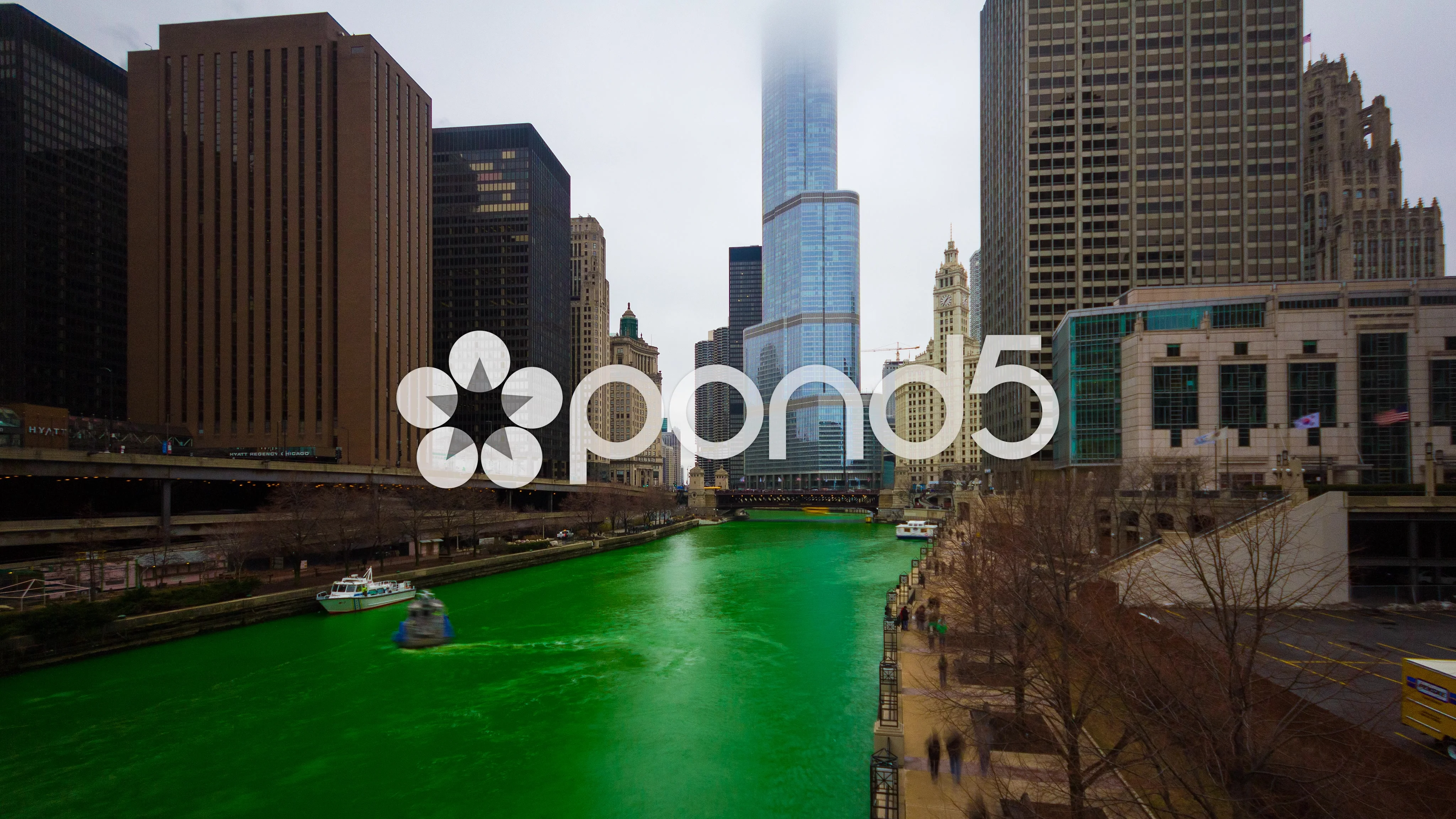 Time-lapse video shows Chicago River turning green for St. Patrick's Day