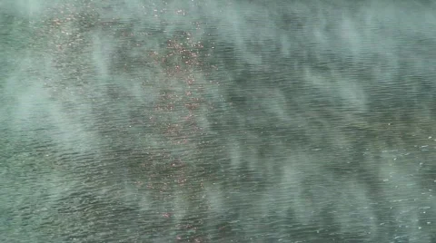 Chicago River Fog Stock Footage