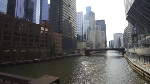 Chicago River With Willis Tower Stock Footage 69910443