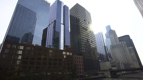 Chicago River With Willis Tower Stock Footage 69911203