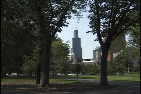 Chicago Sears Tower Through Trees Stock Footage 297056