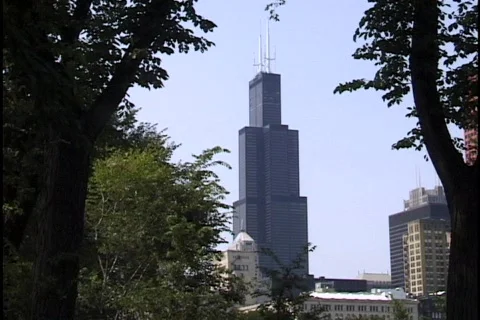 Chicago Sears Tower Through Trees 2 Stock Footage 297057