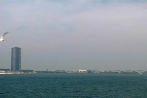 Chicago Skyline 2 Stock Footage 491336