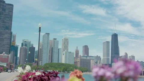 Chicago skyline with blowers on a foreground  스톡 동영상 79849878