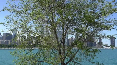 Chicago skyline Stock Footage 54798515