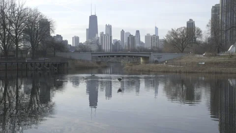 Chicago - Skyline Reflection in Pond with Ducks 3 - 4K Realtime Stock-Footage 144932347